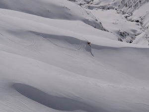 SAG 95 - 2026 Pre-Order